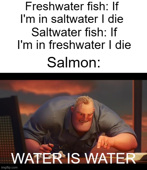 I wonder what the reputation of salmon must be among other fish. |  Freshwater fish: If I'm in saltwater I die; Saltwater fish: If I'm in freshwater I die; Salmon:; WATER IS WATER | image tagged in math is math | made w/ Imgflip meme maker