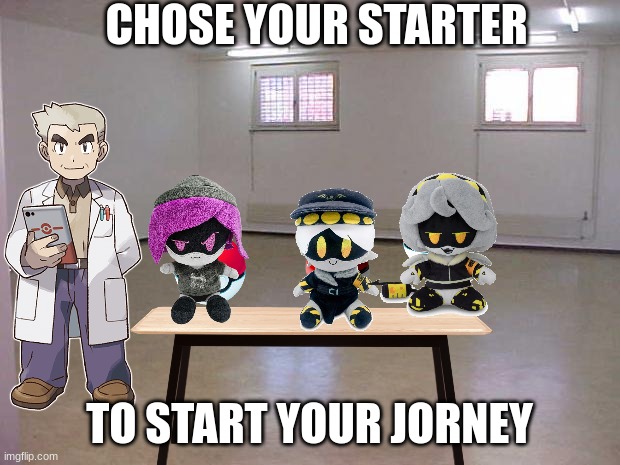 Empty Room | CHOSE YOUR STARTER; TO START YOUR JORNEY | image tagged in empty room | made w/ Imgflip meme maker