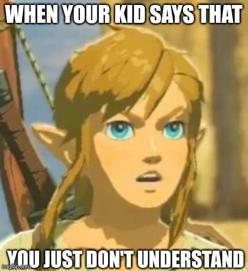 You don't understand | WHEN YOUR KID SAYS THAT; YOU JUST DON'T UNDERSTAND | image tagged in offended link | made w/ Imgflip meme maker
