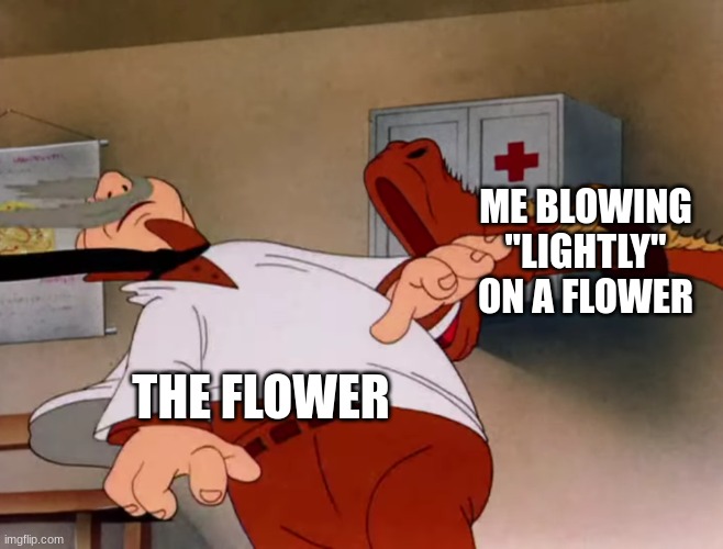 Screaming Horse | ME BLOWING "LIGHTLY" ON A FLOWER; THE FLOWER | image tagged in horse,looney tunes,screaming horse | made w/ Imgflip meme maker