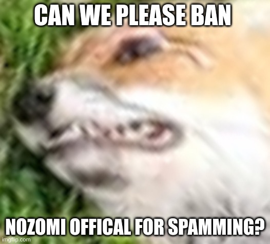 they just post the same shitty dominos fox image | CAN WE PLEASE BAN; NOZOMI OFFICAL FOR SPAMMING? | image tagged in ban them,please ban them,i am begging you ban them,ban them or else,i will kill you unless you ban them,balls | made w/ Imgflip meme maker