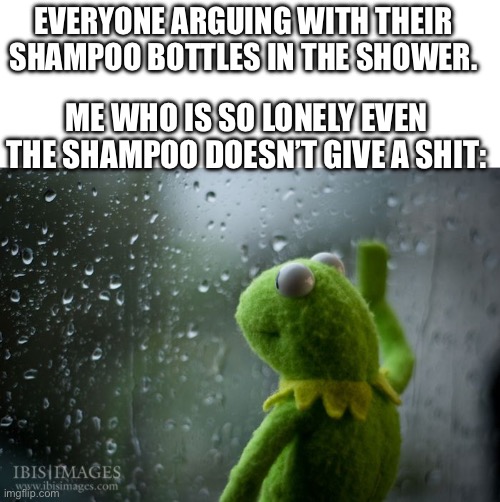 kermit window | EVERYONE ARGUING WITH THEIR SHAMPOO BOTTLES IN THE SHOWER. ME WHO IS SO LONELY EVEN THE SHAMPOO DOESN’T GIVE A SHIT: | image tagged in kermit window | made w/ Imgflip meme maker
