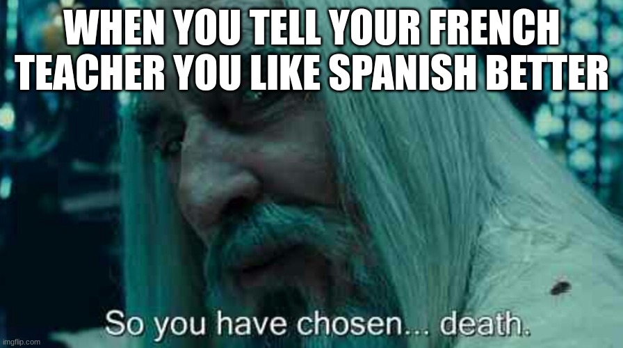 One kid told my french teacher this | WHEN YOU TELL YOUR FRENCH TEACHER YOU LIKE SPANISH BETTER | image tagged in so you have chosen death | made w/ Imgflip meme maker