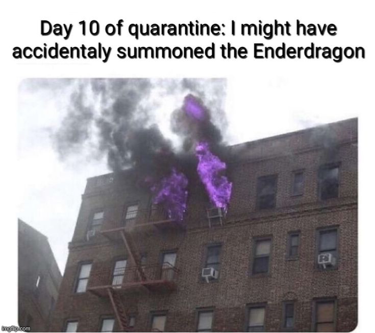 image tagged in memes,funny | made w/ Imgflip meme maker
