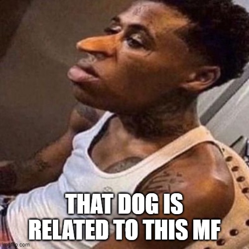 quandale dingle | THAT DOG IS RELATED TO THIS MF | image tagged in quandale dingle | made w/ Imgflip meme maker