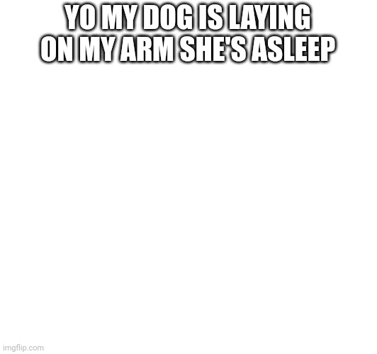 YO MY DOG IS LAYING ON MY ARM SHE'S ASLEEP | made w/ Imgflip meme maker