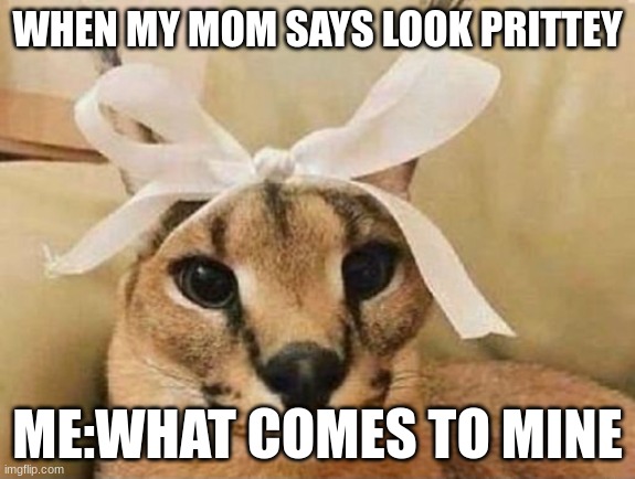 Big Floppa Bow | WHEN MY MOM SAYS LOOK PRITTEY; ME:WHAT COMES TO MINE | image tagged in big floppa bow | made w/ Imgflip meme maker