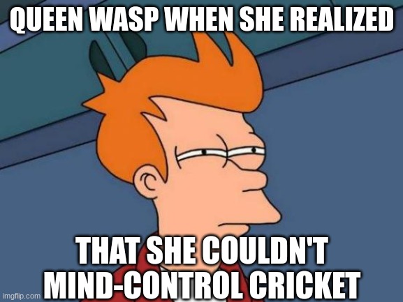 curious queen wasp | QUEEN WASP WHEN SHE REALIZED; THAT SHE COULDN'T MIND-CONTROL CRICKET | image tagged in memes,futurama fry | made w/ Imgflip meme maker