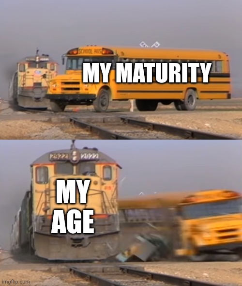 Why do websites judge maturity? | MY MATURITY; MY AGE | image tagged in a train hitting a school bus,memes | made w/ Imgflip meme maker