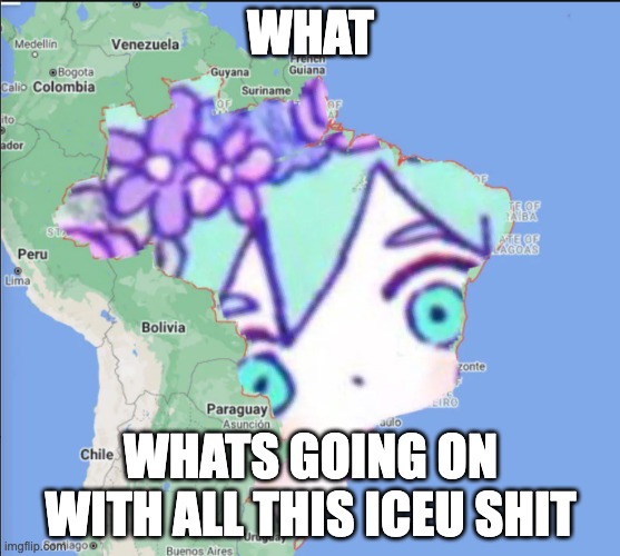 Brazil basil | WHAT; WHATS GOING ON WITH ALL THIS ICEU SHIT | image tagged in brazil basil | made w/ Imgflip meme maker