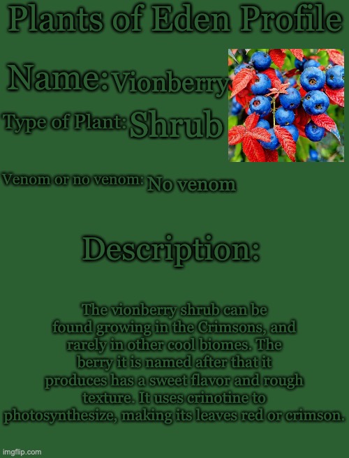 Plants of Eden Profile | Vionberry; Shrub; No venom; The vionberry shrub can be found growing in the Crimsons, and rarely in other cool biomes. The berry it is named after that it produces has a sweet flavor and rough texture. It uses crinotine to photosynthesize, making its leaves red or crimson. | image tagged in plants of eden profile | made w/ Imgflip meme maker