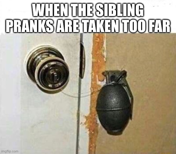 WHEN THE SIBLING PRANKS ARE TAKEN TOO FAR | image tagged in prank,grenade,troll | made w/ Imgflip meme maker