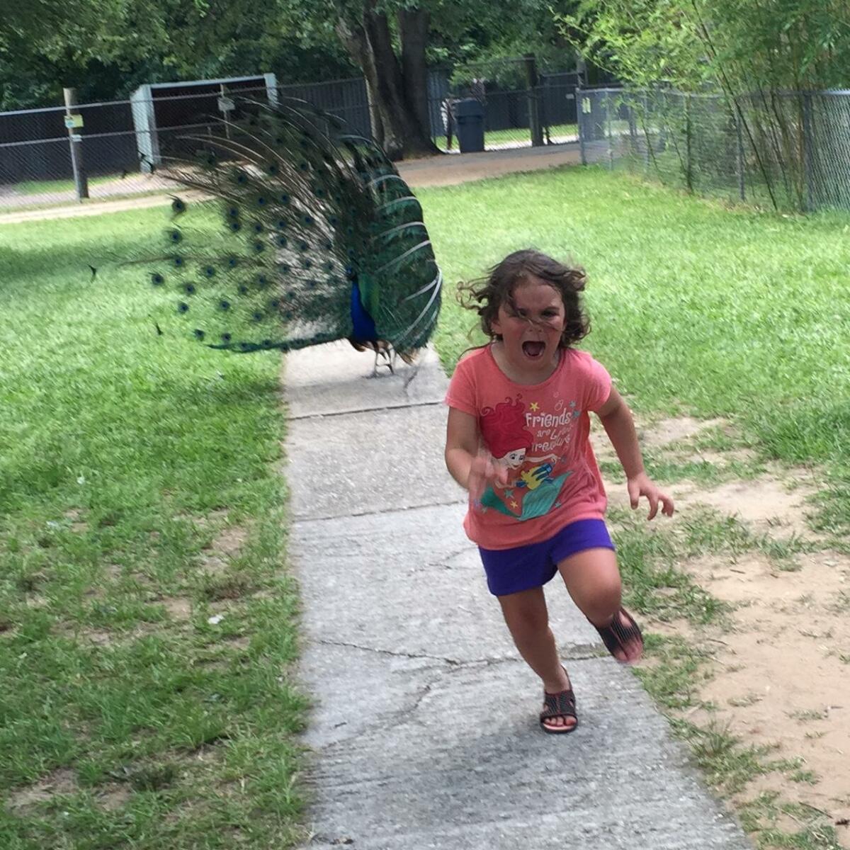 Girl Blank Meme Template