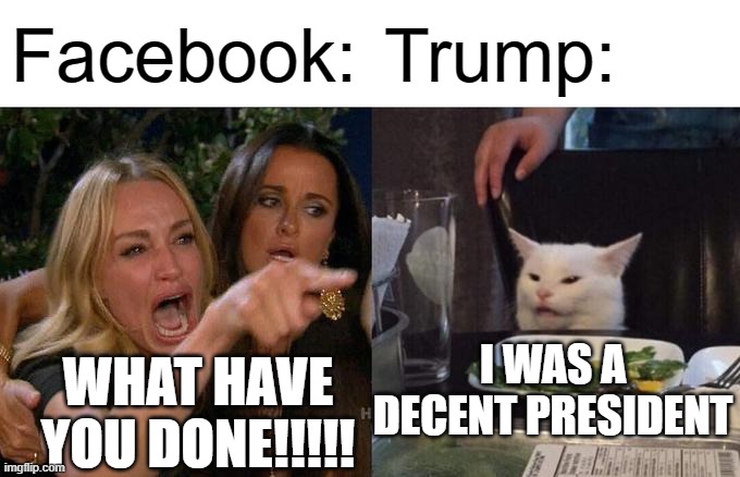 Woman Yelling At Cat |  Facebook:; Trump:; I WAS A DECENT PRESIDENT; WHAT HAVE YOU DONE!!!!! | image tagged in memes,woman yelling at cat | made w/ Imgflip meme maker