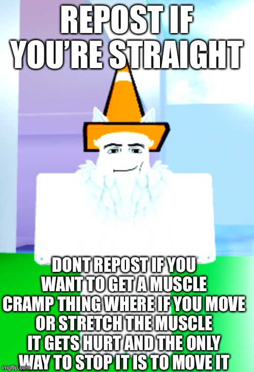 Am i the only one who gets this randomly | REPOST IF YOU’RE STRAIGHT; DONT REPOST IF YOU WANT TO GET A MUSCLE CRAMP THING WHERE IF YOU MOVE OR STRETCH THE MUSCLE IT GETS HURT AND THE ONLY WAY TO STOP IT IS TO MOVE IT | image tagged in soy pro | made w/ Imgflip meme maker