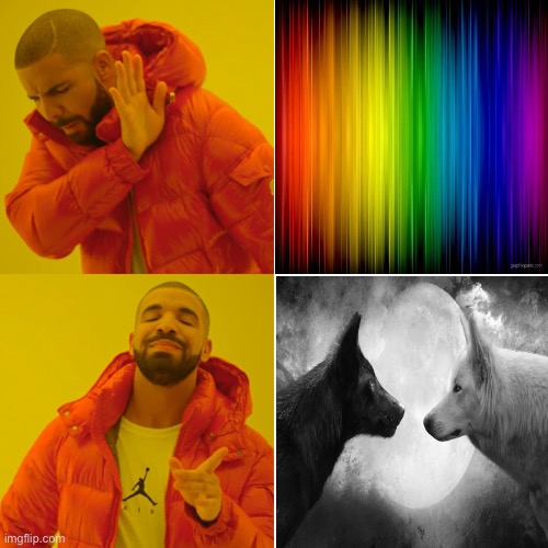 Drake Hotline Bling Meme | image tagged in memes,drake hotline bling | made w/ Imgflip meme maker