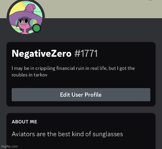 Rate my discord profile | made w/ Imgflip meme maker