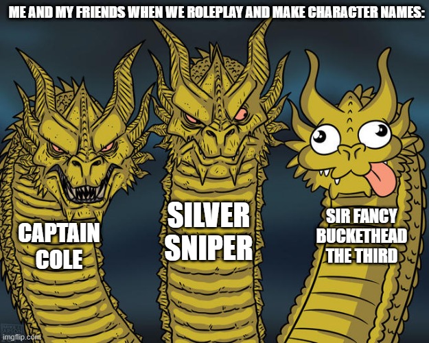There's always that one goofball when you roleplay. | ME AND MY FRIENDS WHEN WE ROLEPLAY AND MAKE CHARACTER NAMES:; SILVER SNIPER; SIR FANCY BUCKETHEAD THE THIRD; CAPTAIN COLE | image tagged in three-headed dragon,roleplaying | made w/ Imgflip meme maker