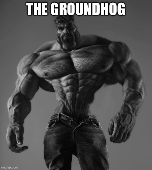 GigaChad | THE GROUNDHOG | image tagged in gigachad | made w/ Imgflip meme maker