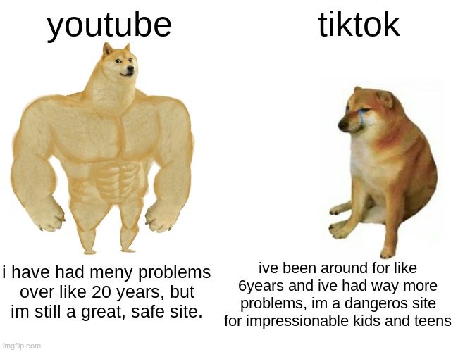 yt > tt | youtube; tiktok; ive been around for like 6years and ive had way more problems, im a dangeros site for impressionable kids and teens; i have had meny problems over like 20 years, but im still a great, safe site. | image tagged in memes,buff doge vs cheems | made w/ Imgflip meme maker