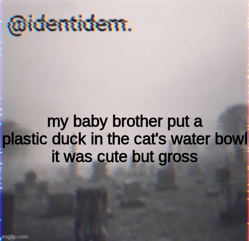 hj | my baby brother put a plastic duck in the cat's water bowl
it was cute but gross | made w/ Imgflip meme maker