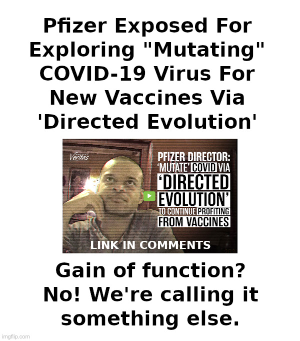 It's NOT "Gain of Function!" It's "Directed Evolution!" | image tagged in gain of function,directed evolution,pfizer,covid,vaccine,scam | made w/ Imgflip meme maker