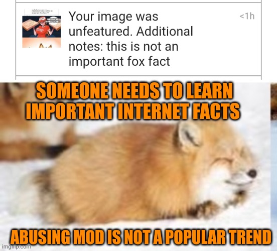 More fox facts | SOMEONE NEEDS TO LEARN IMPORTANT INTERNET FACTS; ABUSING MOD IS NOT A POPULAR TREND | image tagged in because,they are a,popular trend | made w/ Imgflip meme maker