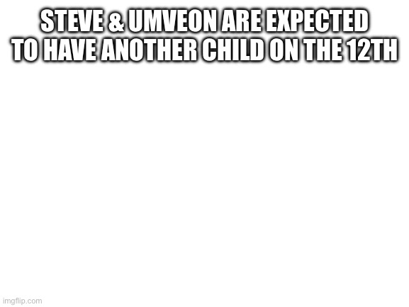 Blank White Template | STEVE & UMVEON ARE EXPECTED TO HAVE ANOTHER CHILD ON THE 12TH | image tagged in blank white template | made w/ Imgflip meme maker