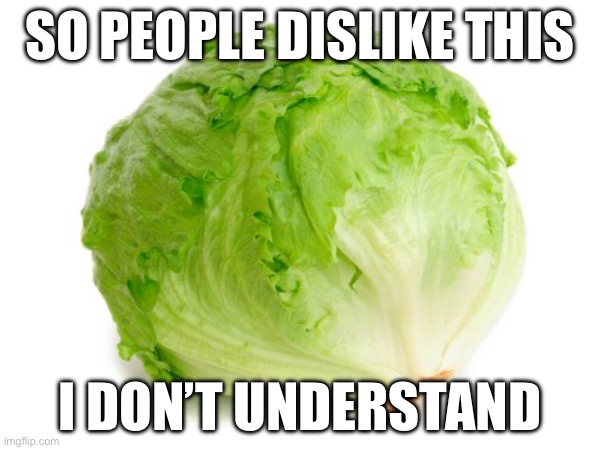 Haha upvote go brrr | SO PEOPLE DISLIKE THIS; I DON’T UNDERSTAND | image tagged in lettuce | made w/ Imgflip meme maker