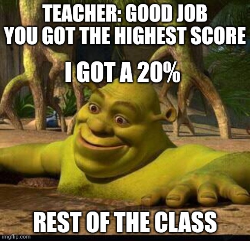 shreck | TEACHER: GOOD JOB YOU GOT THE HIGHEST SCORE; I GOT A 20%; REST OF THE CLASS | image tagged in shreck | made w/ Imgflip meme maker