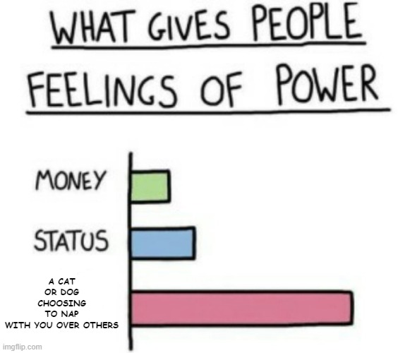 What Gives People Feelings of Power | A CAT OR DOG CHOOSING TO NAP WITH YOU OVER OTHERS | image tagged in what gives people feelings of power | made w/ Imgflip meme maker