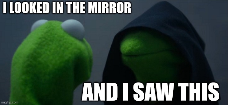 Evil Kermit | I LOOKED IN THE MIRROR; AND I SAW THIS | image tagged in memes,evil kermit | made w/ Imgflip meme maker