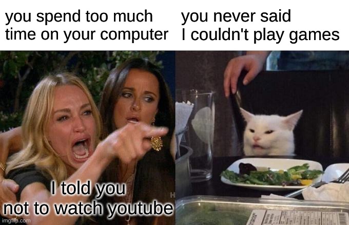 Woman Yelling At Cat | you spend too much time on your computer; you never said I couldn't play games; I told you not to watch youtube | image tagged in memes,woman yelling at cat | made w/ Imgflip meme maker