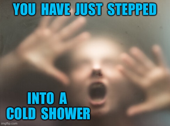 Cold shower | YOU  HAVE  JUST  STEPPED; INTO  A  COLD  SHOWER | image tagged in shower,just stepped into,cold shower,goose bumps | made w/ Imgflip meme maker