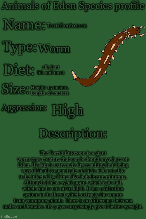 Warning: this is my first post here | Torrid entozoon; Worm; all plant life and meat; Height: 15 meters, Length: 20 meters; High; The Torrid Entozoon is a giant worm type creature that can be found anywhere on Eden. Its skin is extremely dry resulting in it being very difficult to penetrate and it is also not able to be infected by things like bobolorum minimus. Although it has a weak point, which is its tail, which can be cut off to kill it. It has a filtration system in its throat which extracts the venom from venomous plants. There is no difference between males and females. Its 3 eyes surprisingly give it better eyesight. | image tagged in animals of eden species profile | made w/ Imgflip meme maker