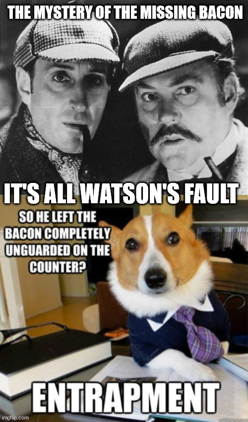 Elementary my dear Watson... it was because of you... | THE MYSTERY OF THE MISSING BACON; IT'S ALL WATSON'S FAULT | image tagged in sherlock holmes,mystery,bacon | made w/ Imgflip meme maker