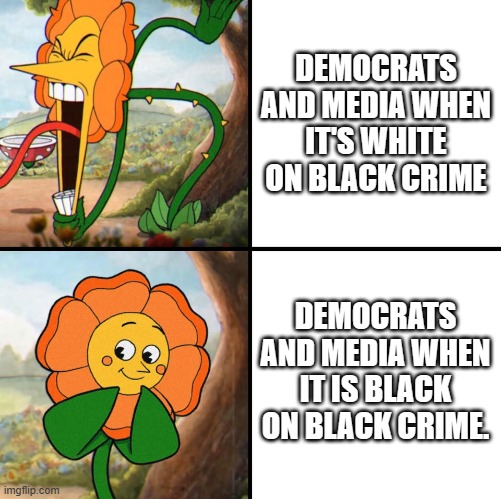 Bruh. Democrats fo sho racists |  DEMOCRATS AND MEDIA WHEN IT'S WHITE ON BLACK CRIME; DEMOCRATS AND MEDIA WHEN IT IS BLACK ON BLACK CRIME. | image tagged in angry flower,memes,racists,democrats | made w/ Imgflip meme maker