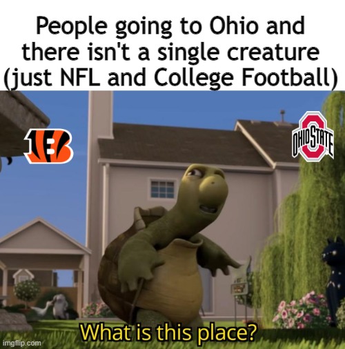 its true though.. (i like ohio state alr?) | People going to Ohio and there isn't a single creature (just NFL and College Football) | image tagged in what is this place,only in ohio,ohio | made w/ Imgflip meme maker