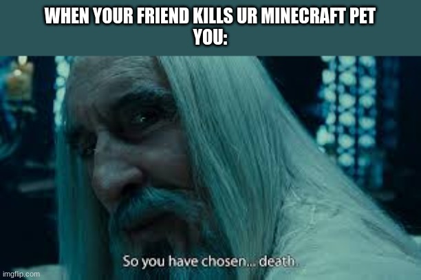 So you have chosen death | WHEN YOUR FRIEND KILLS UR MINECRAFT PET
YOU: | image tagged in so you have chosen death | made w/ Imgflip meme maker