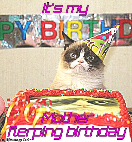 Yay... | It's my; Mother flerping birthday | image tagged in memes,grumpy cat birthday,grumpy cat | made w/ Imgflip meme maker