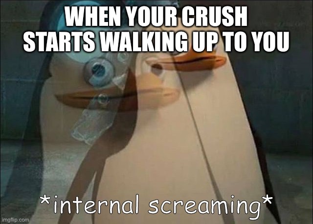 It is so hard | WHEN YOUR CRUSH STARTS WALKING UP TO YOU | image tagged in private internal screaming | made w/ Imgflip meme maker