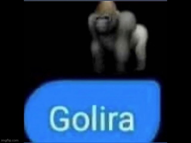 Golira | image tagged in golira | made w/ Imgflip meme maker