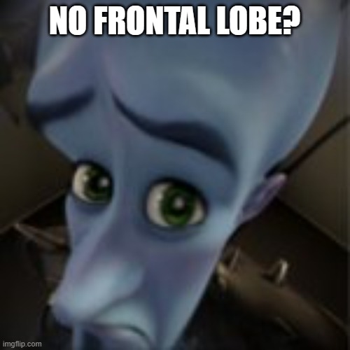 NO FRONTAL LOBE? | made w/ Imgflip meme maker