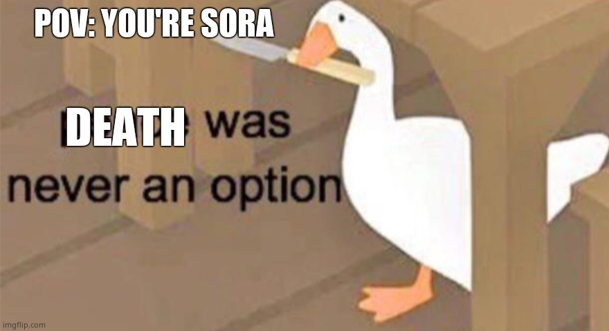If you know you know | POV: YOU'RE SORA; DEATH | image tagged in untitled goose peace was never an option,kingdom hearts | made w/ Imgflip meme maker