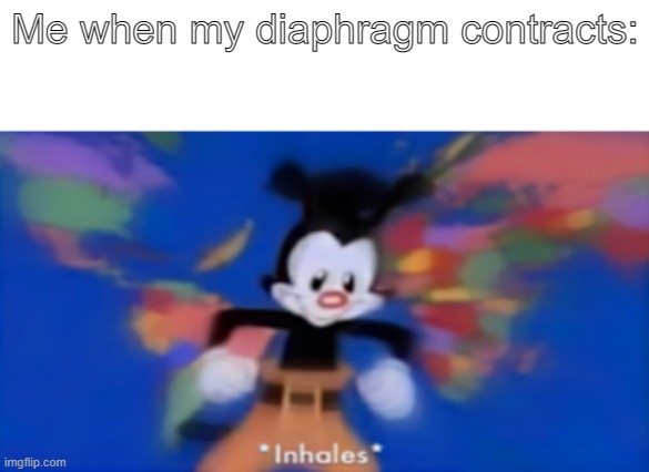 1st meme | Me when my diaphragm contracts: | image tagged in yakko inhale | made w/ Imgflip meme maker