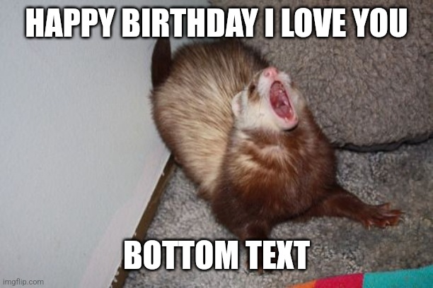 SCREMMING FERRET | HAPPY BIRTHDAY I LOVE YOU; BOTTOM TEXT | image tagged in scremming ferret | made w/ Imgflip meme maker