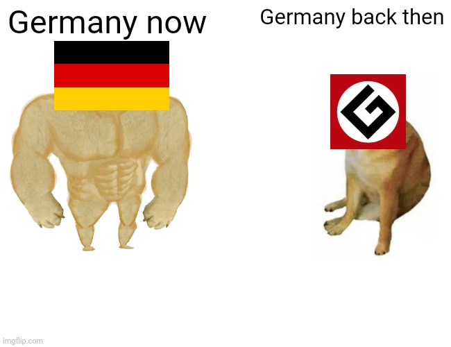 Do not say it please | Germany now; Germany back then | image tagged in memes,buff doge vs cheems,funny,germany | made w/ Imgflip meme maker
