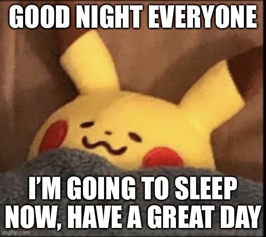 Woohoo | GOOD NIGHT EVERYONE; I’M GOING TO SLEEP NOW, HAVE A GREAT DAY | image tagged in pikachu sleep | made w/ Imgflip meme maker