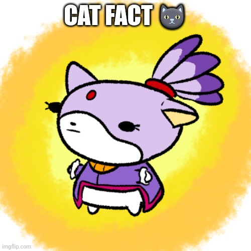 Blaze | CAT FACT 🐱 | image tagged in blaze | made w/ Imgflip meme maker