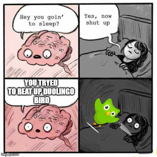 .... | YOU TRYED 
TO BEAT UP DUOLINGO 
BIRD | image tagged in hey you going to sleep | made w/ Imgflip meme maker